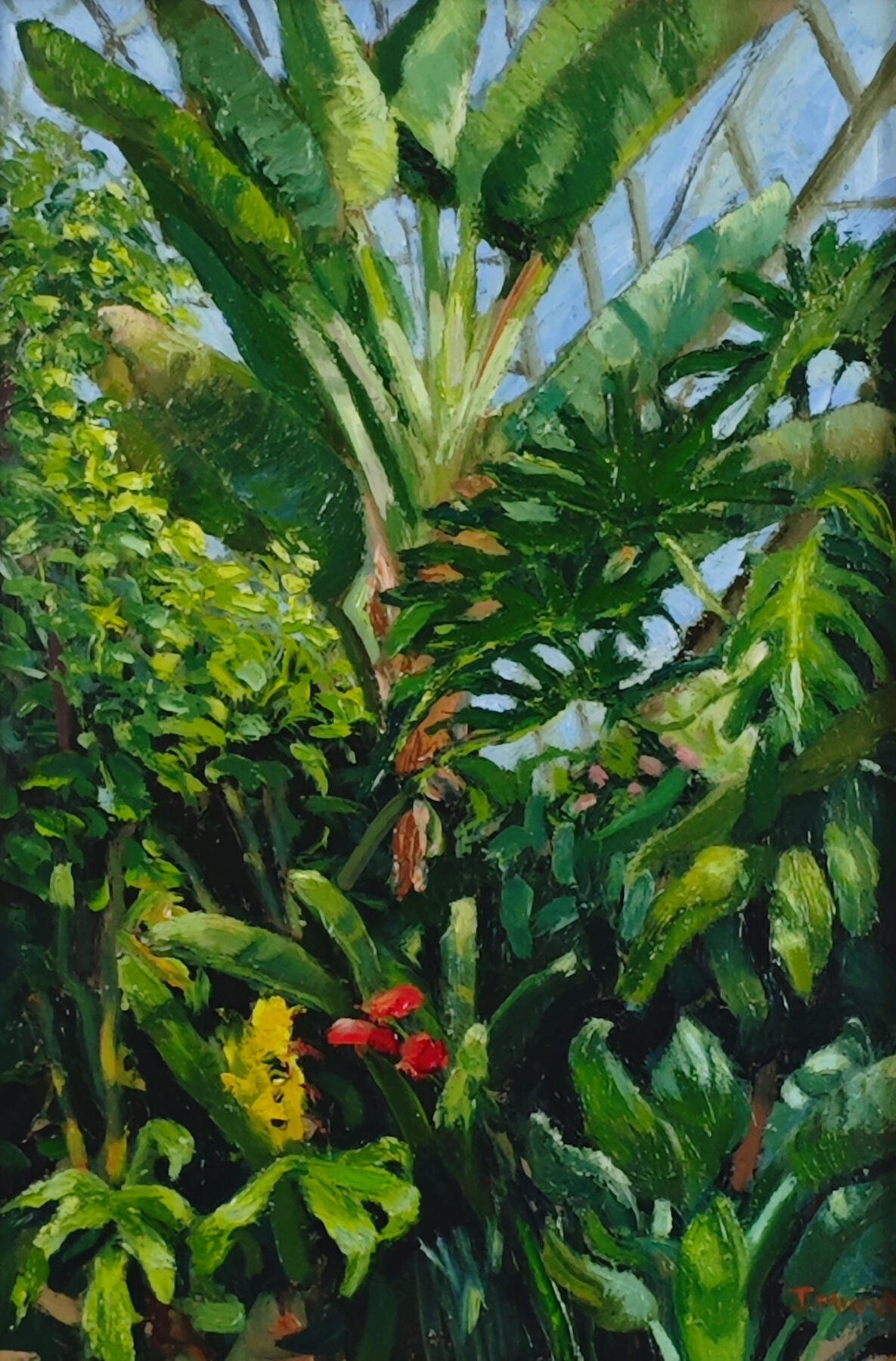 Oil painting of the hothouse at Torre Abbey filled with tropical plants including banana, bird of paradise, monstera, and smaller species under warm filtered light.